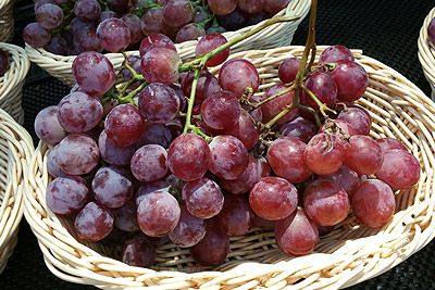 安图山葡萄,吉林延边特产安图山葡萄图文介绍