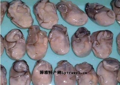 海蛎子，辽宁大连特产海蛎子图文介绍