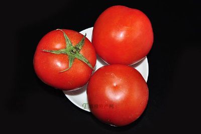 河套番茄，内蒙古巴彦淖尔特产河套番茄图文介绍