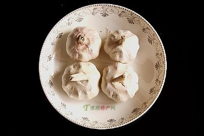 小文公大蒜图文介绍