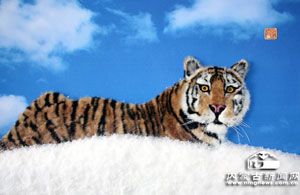 察哈尔蒙古毛绣，内蒙古乌兰察布特产察哈尔蒙古毛绣图文介绍