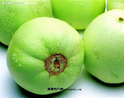 盐池甜瓜,宁夏吴忠特产盐池甜瓜图文介绍