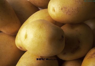 隆德马铃薯，宁夏固原特产隆德马铃薯图文介绍