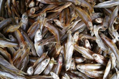 外婆鱼干,宁夏银川特产外婆鱼干图文介绍