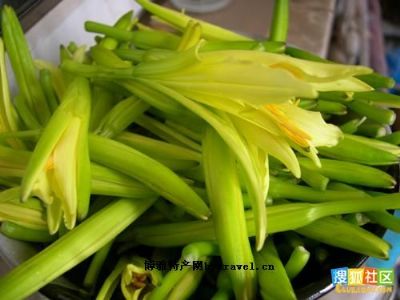 盐池黄花菜,宁夏吴忠特产盐池黄花菜图文介绍