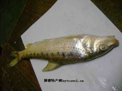 黄河鸽子鱼，宁夏银川特产黄河鸽子鱼图文介绍