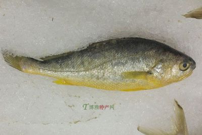 黄鱼煨面，上海长宁区特产黄鱼煨面图文介绍