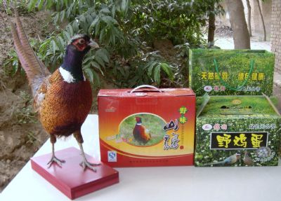 集美野鸡,陕西西安特产集美野鸡图文介绍