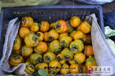 北乡柿子,山西阳泉特产北乡柿子图文介绍
