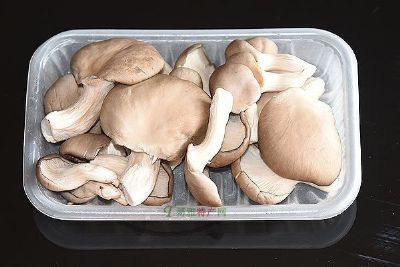 广灵平菇图文介绍
