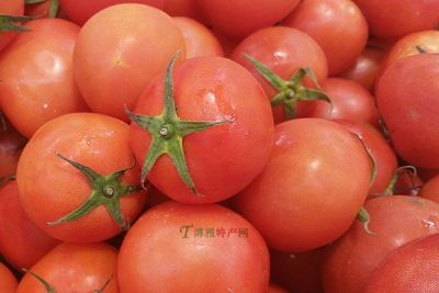 蜜番茄，四川成都特产蜜番茄图文介绍