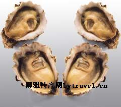 台湾牡蛎，台湾彰化特产台湾牡蛎图文介绍