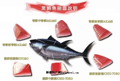 黑鲔鱼，台湾屏东特产黑鲔鱼图文介绍