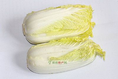 黄芽白菜，天津武清区特产黄芽白菜图文介绍