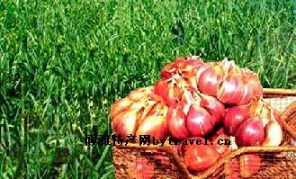 “六瓣红”大蒜，新疆伊犁特产“六瓣红”大蒜图文介绍