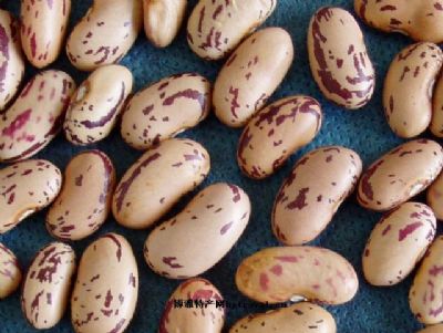 切尔克齐奶花芸豆，新疆阿勒泰特产切尔克齐奶花芸豆图文介绍