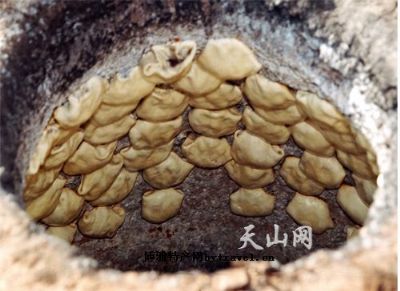 沙木萨,新疆乌鲁木齐特产沙木萨图文介绍