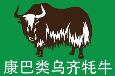 康巴类乌齐牦牛，西藏昌都特产康巴类乌齐牦牛图文介绍