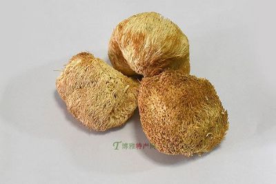 常山猴头菇，浙江省衢州特产常山猴头菇图文介绍