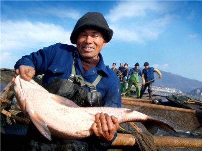 康家湖鳙鱼头，浙江省绍兴特产康家湖鳙鱼头图文介绍