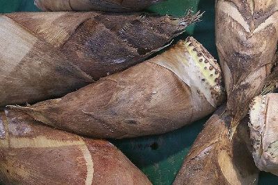 小忠龙藏冬笋,浙江省丽水特产小忠龙藏冬笋图文介绍