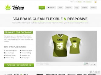 VALERA绿色响应式网站模板