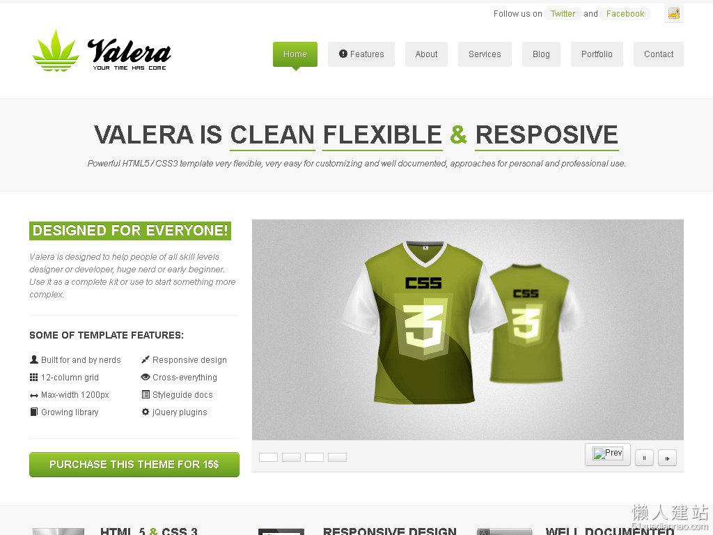 VALERA绿色响应式网站模板