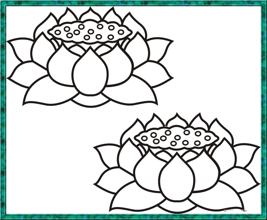 两朵莲花简笔画