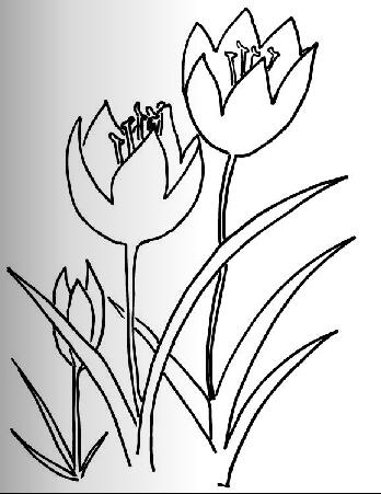 水仙花