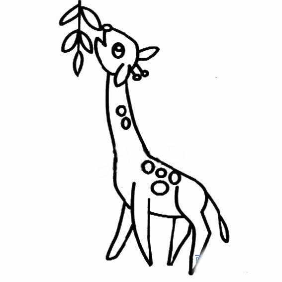 长颈鹿吃叶子简笔画图片